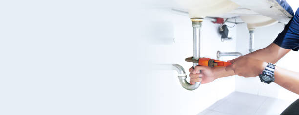 Best Garbage Disposal Repair and Installation  in Rosemount, MN